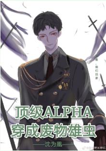 Top Alpha transmigrated into waste male